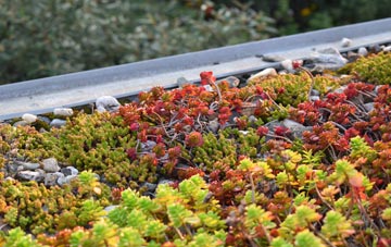 the cost of Monk End green roof installation