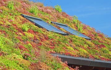Monk End living roof systems